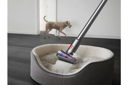 Dyson aspirateur Balai V12 Detect Slim Absolute DUMANOIR